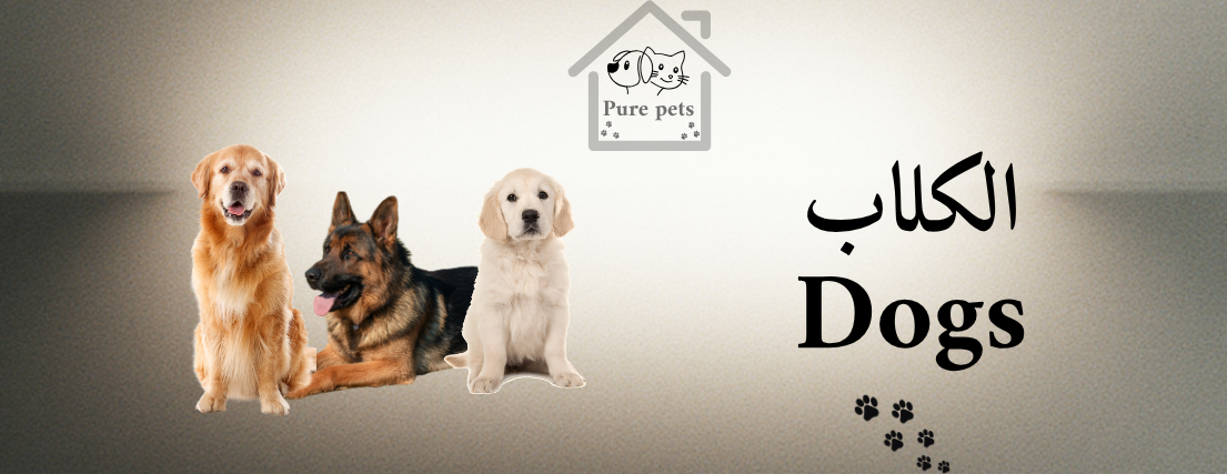 بيور بيتس pure pets image-slider-1