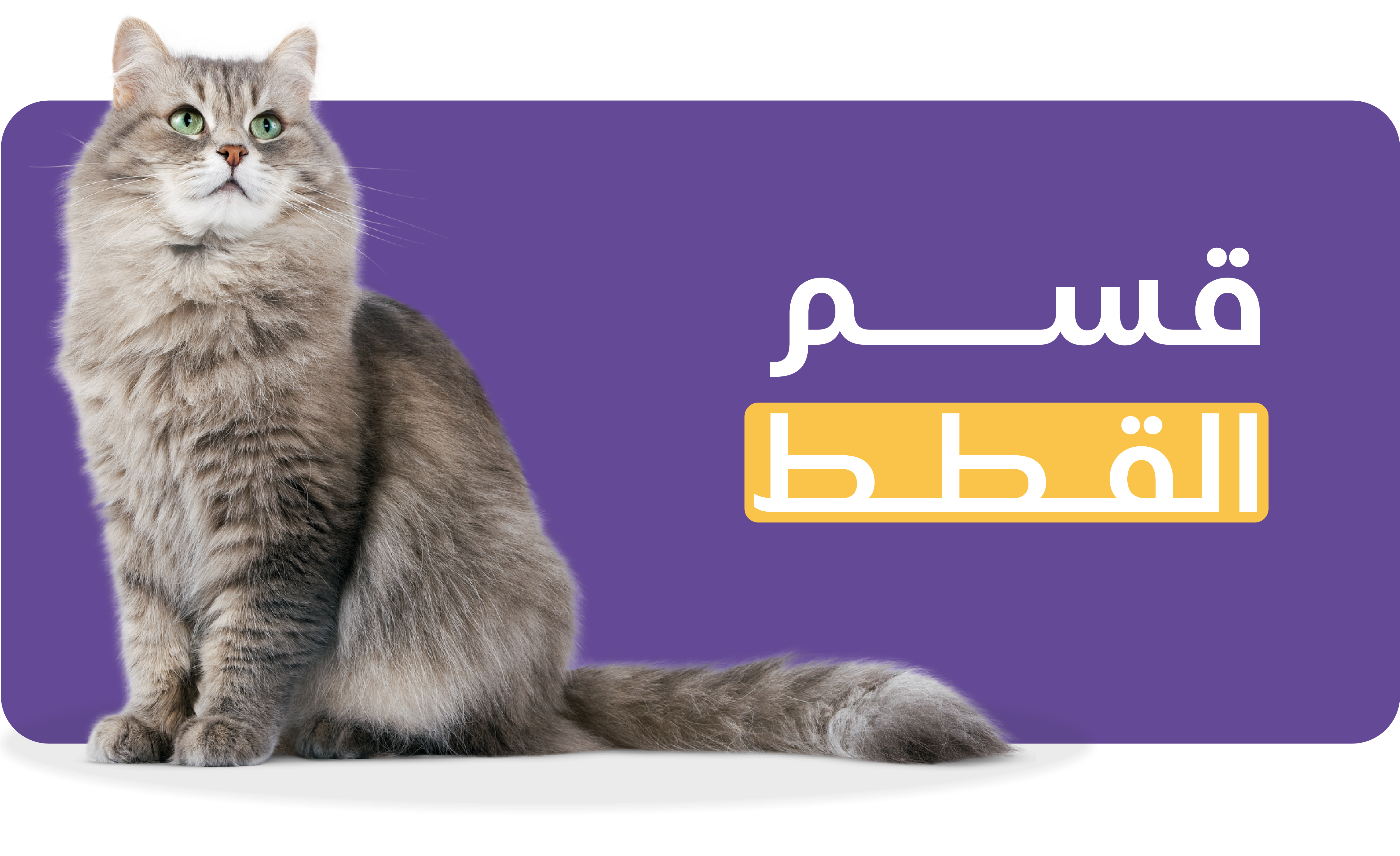 fixed banner