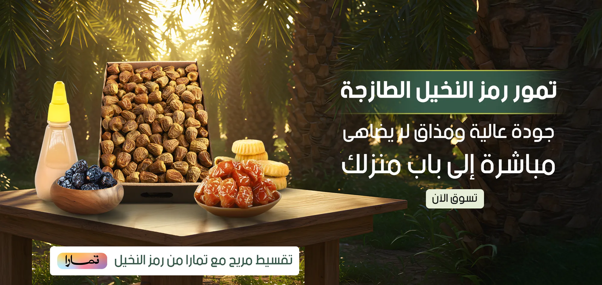 رمز النخيل image-slider-1