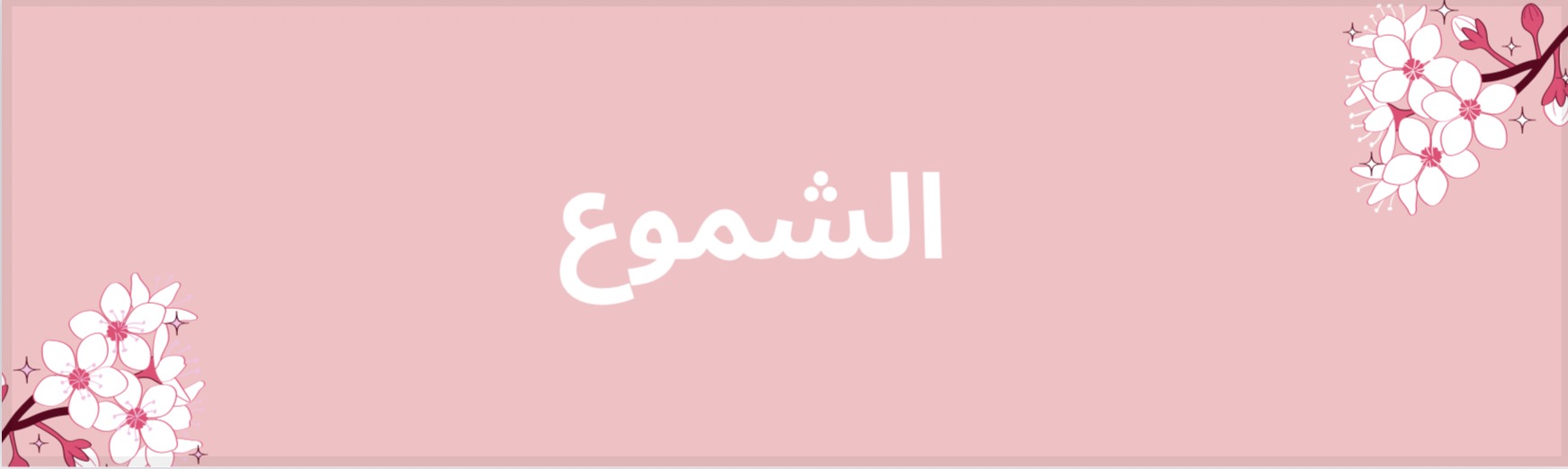 fixed banner