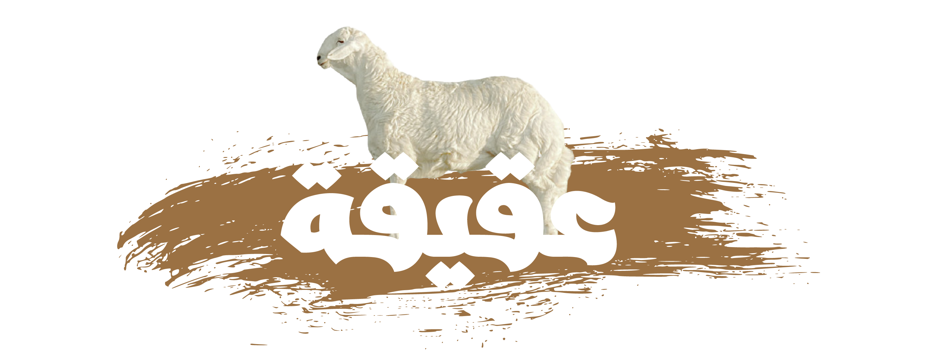 mojan image-slider-0