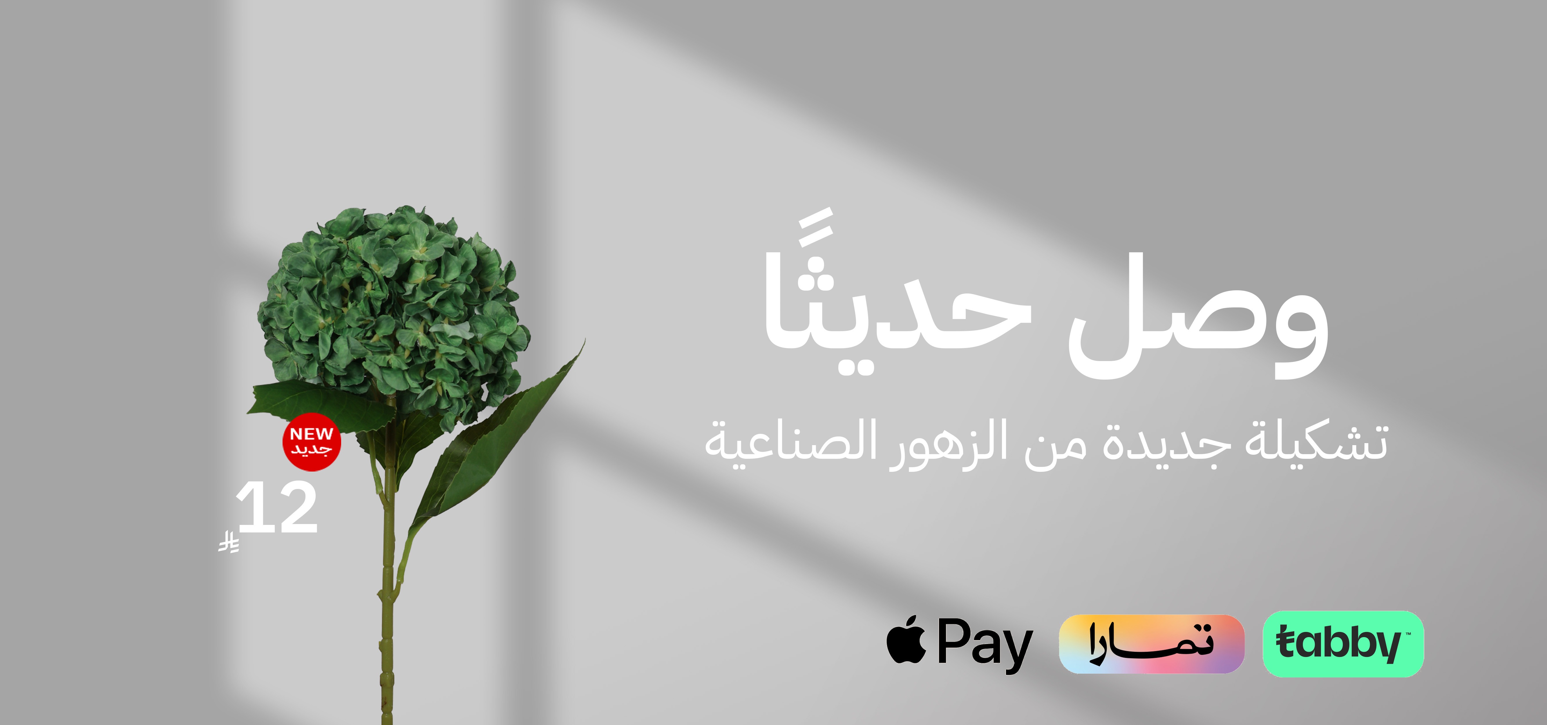 مكنون Mknoon