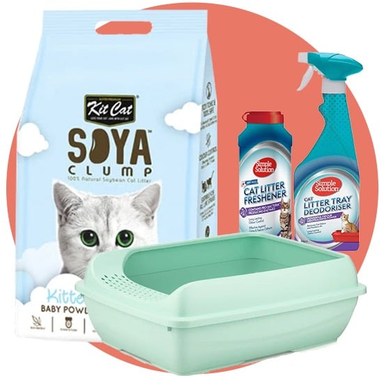 الرمل و مستلزماته