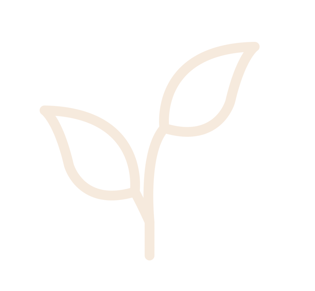 منتجاتنا صحية