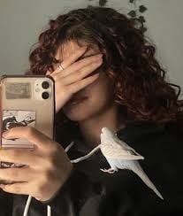 نورة  العتبي