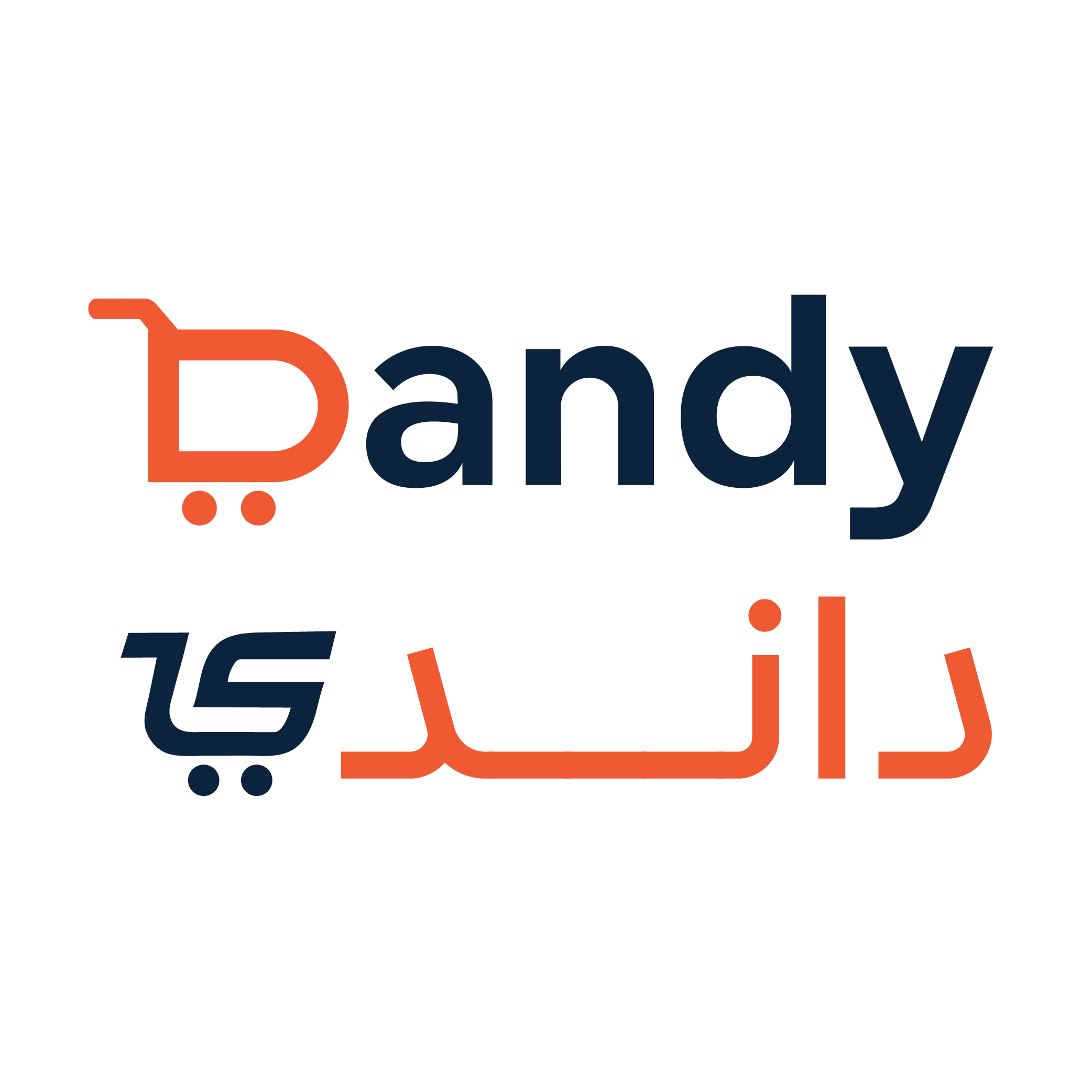 داندي DANDY KSA