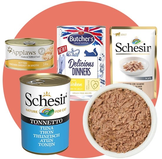 طعام رطب للقطط