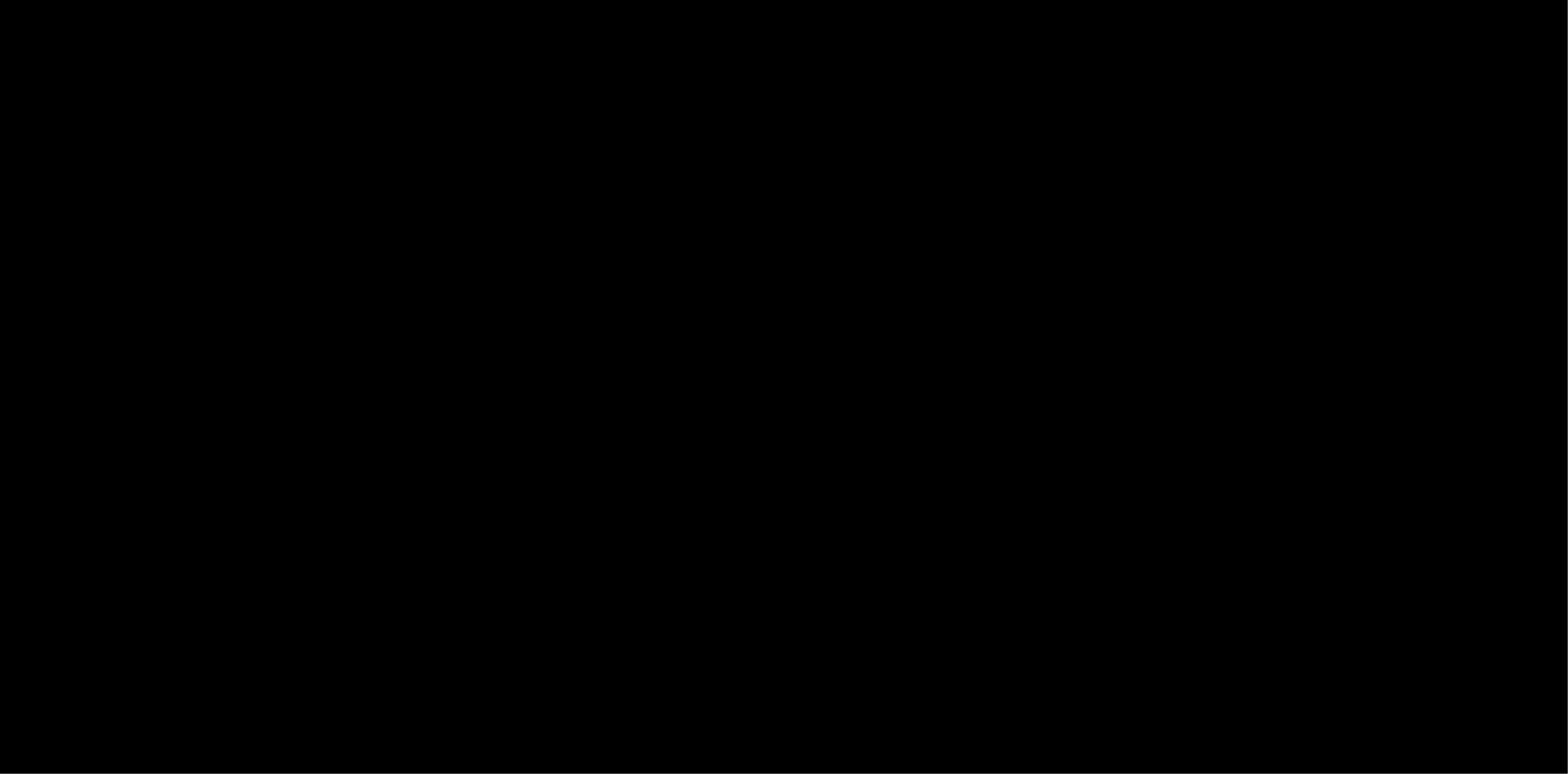 ROKON ALKASSER
