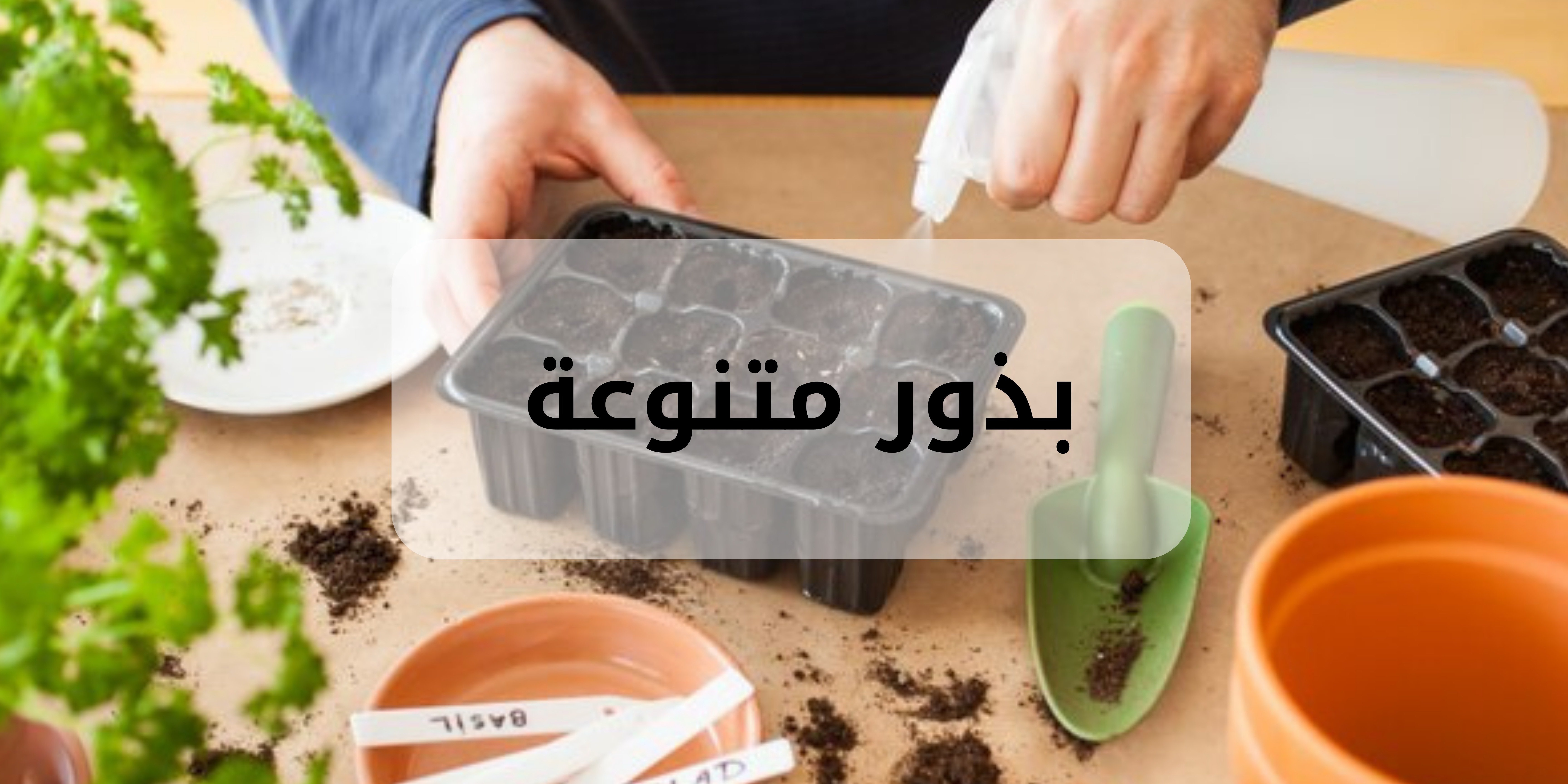 fixed banner