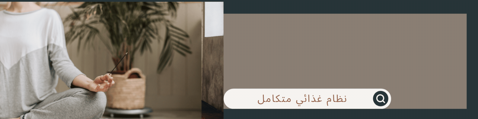 نظام كوتش ميرا  / والكوتش علا image-slider-0