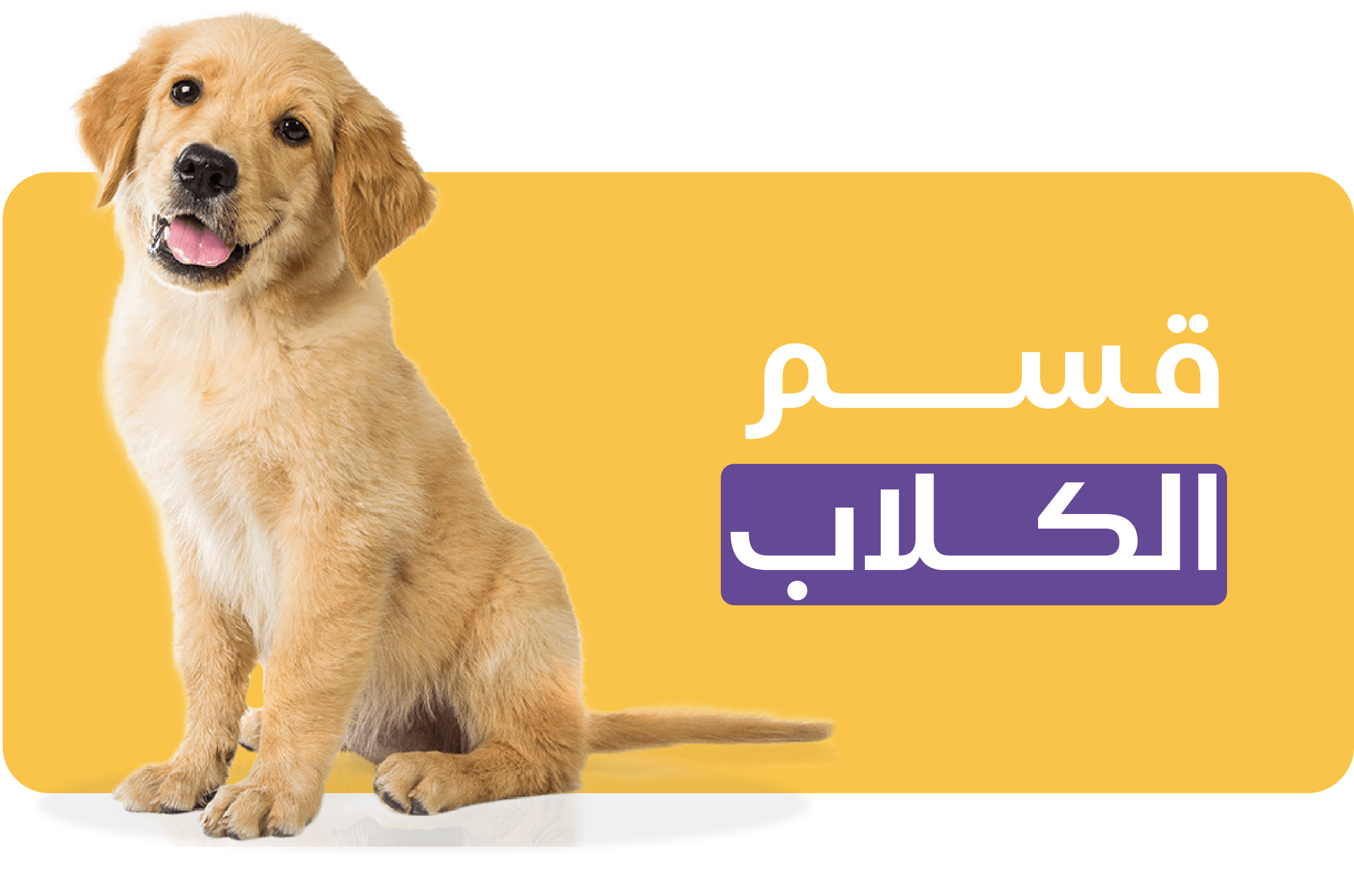 fixed banner