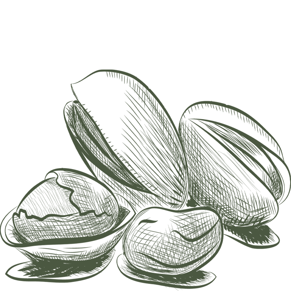 https://cdn.salla.sa/form-builder/rEskh1dEAywhi9l6Qlk5wW6L8RNMFpGmbrVxlhTe.png