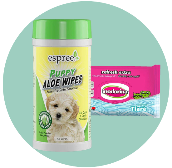 مناديل رطبة للكلاب