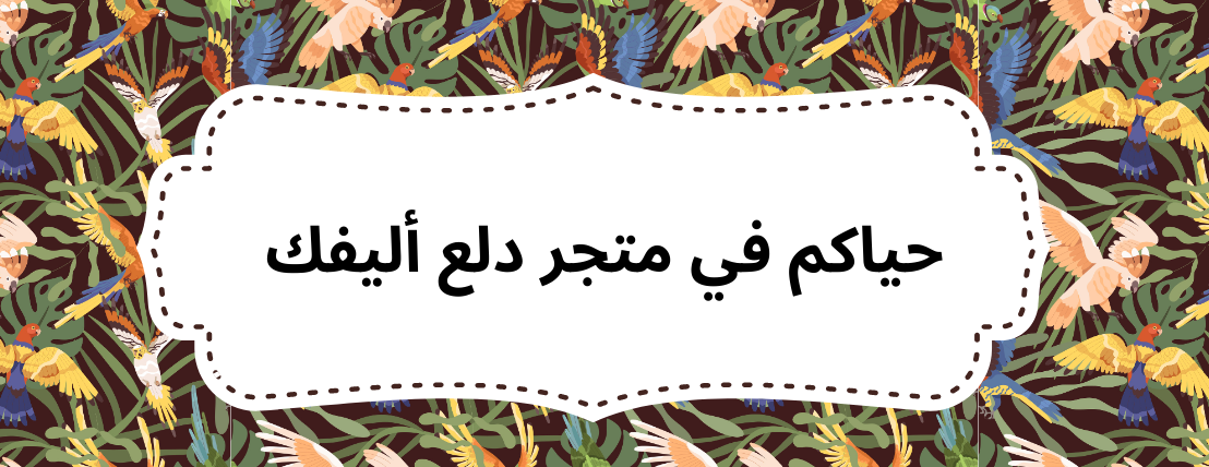 دلع أليفك image-slider-2