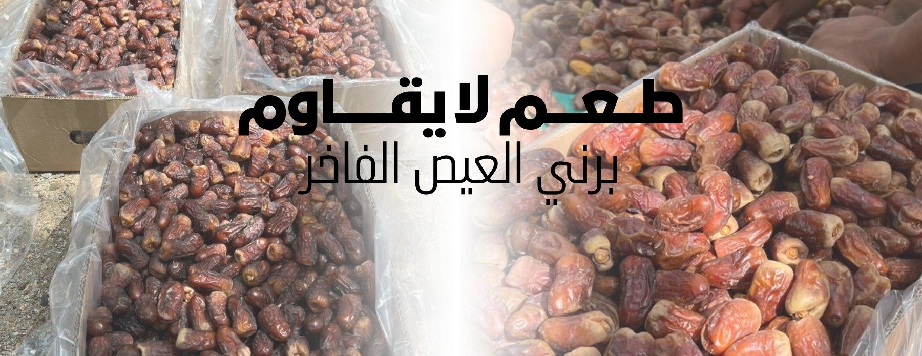 مزارع العايش للتمور image-slider-3
