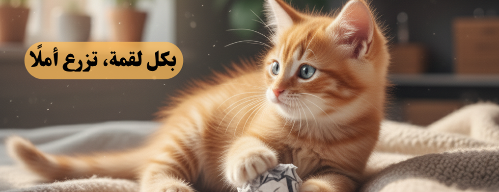 FurMeal image-slider-0