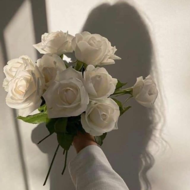 ريما الرشيدي