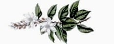 محمصه مد image-slider-0