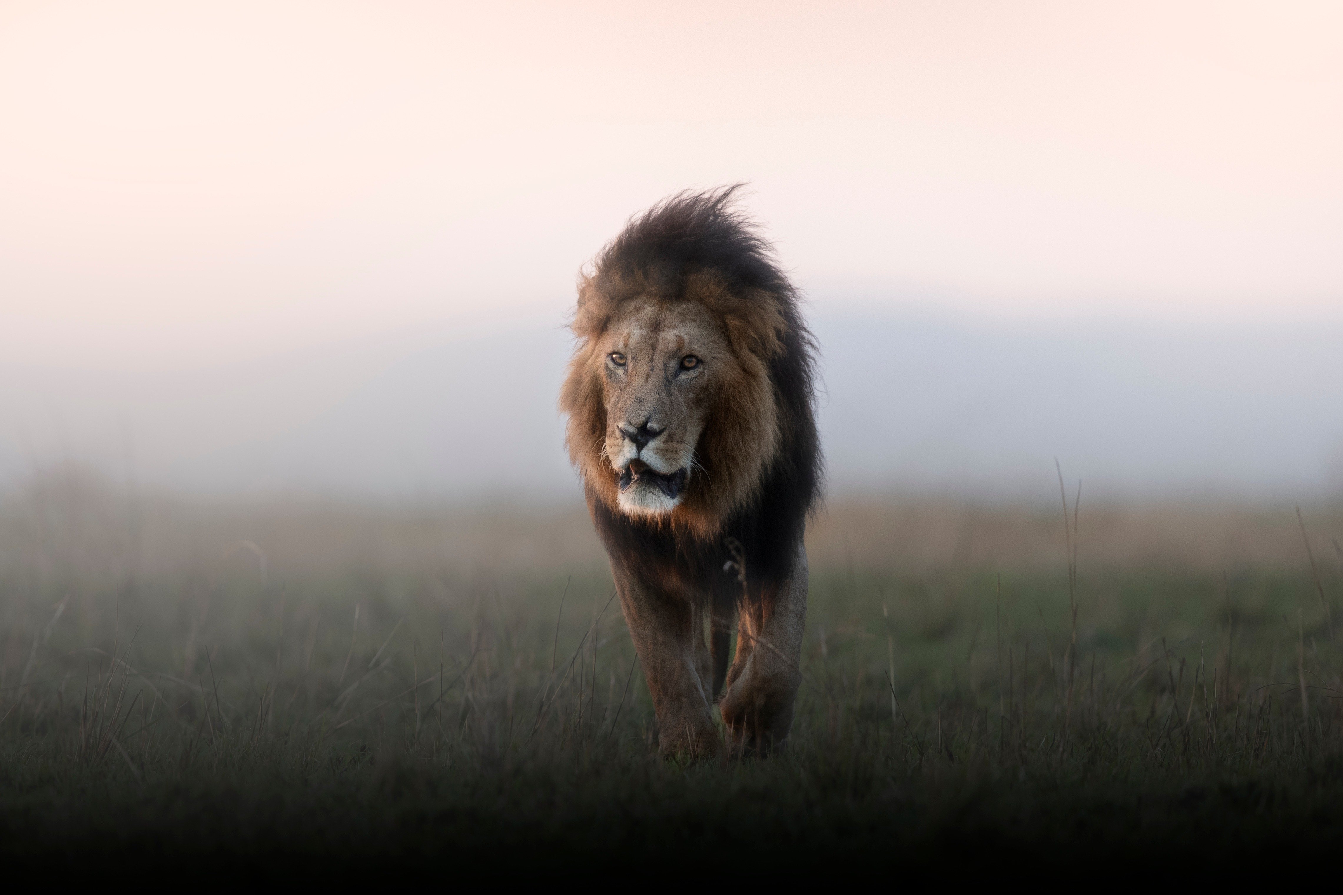 صور تنبض بالإبداع