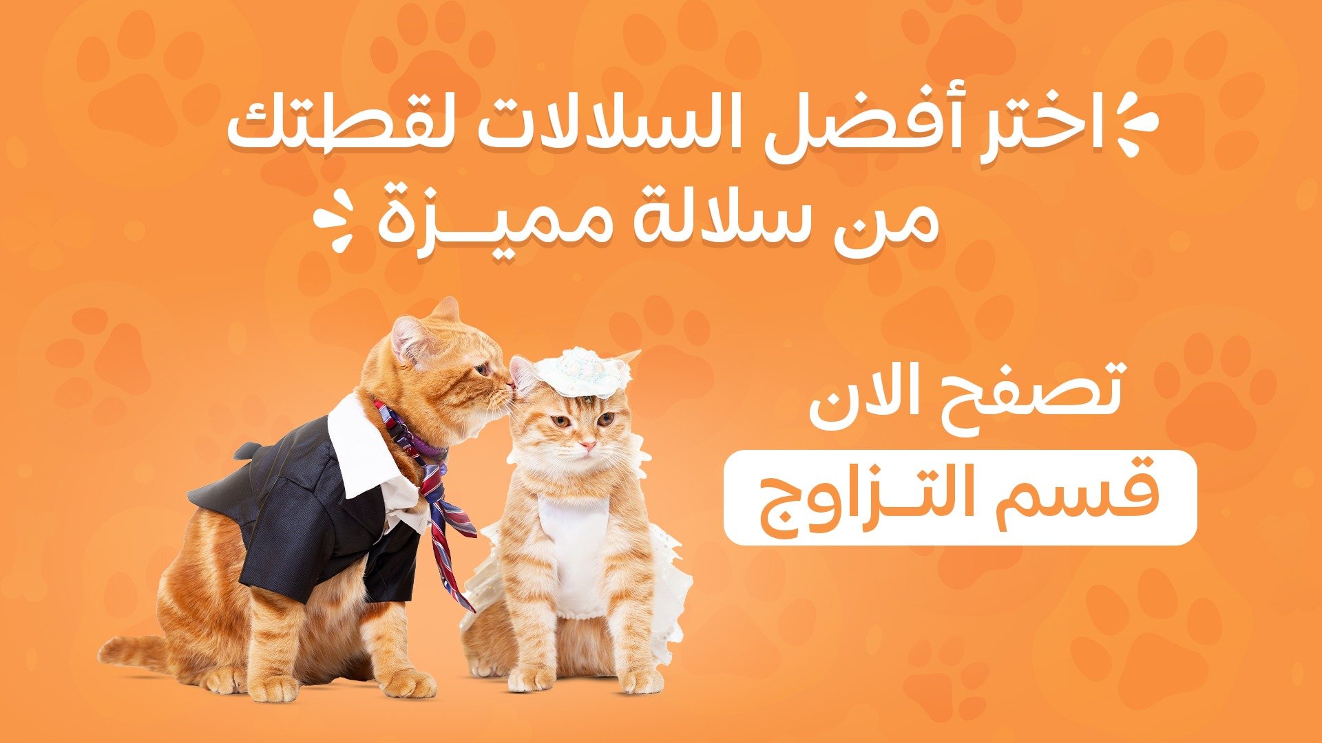 بيت الأليف