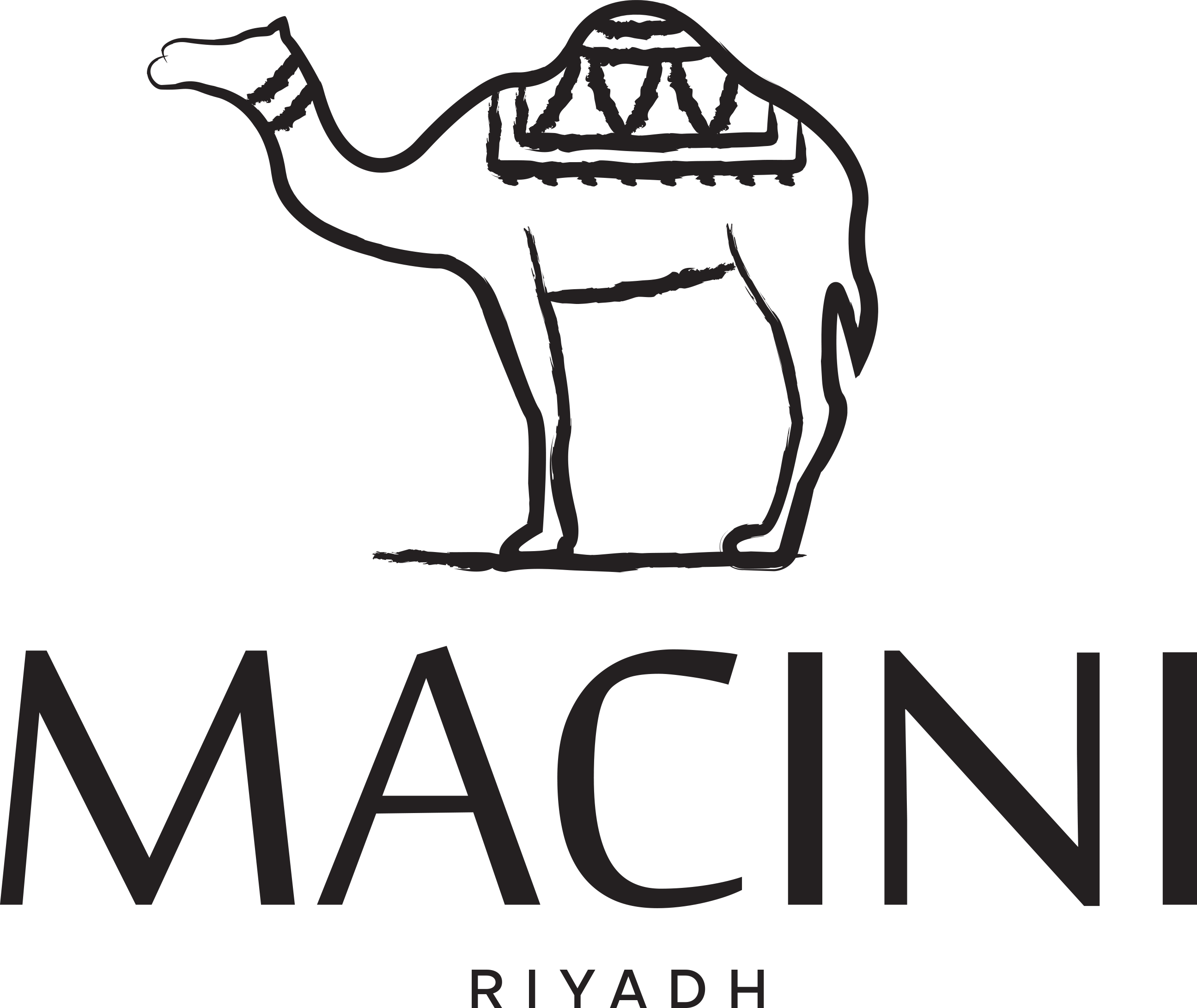 MACINI Logo