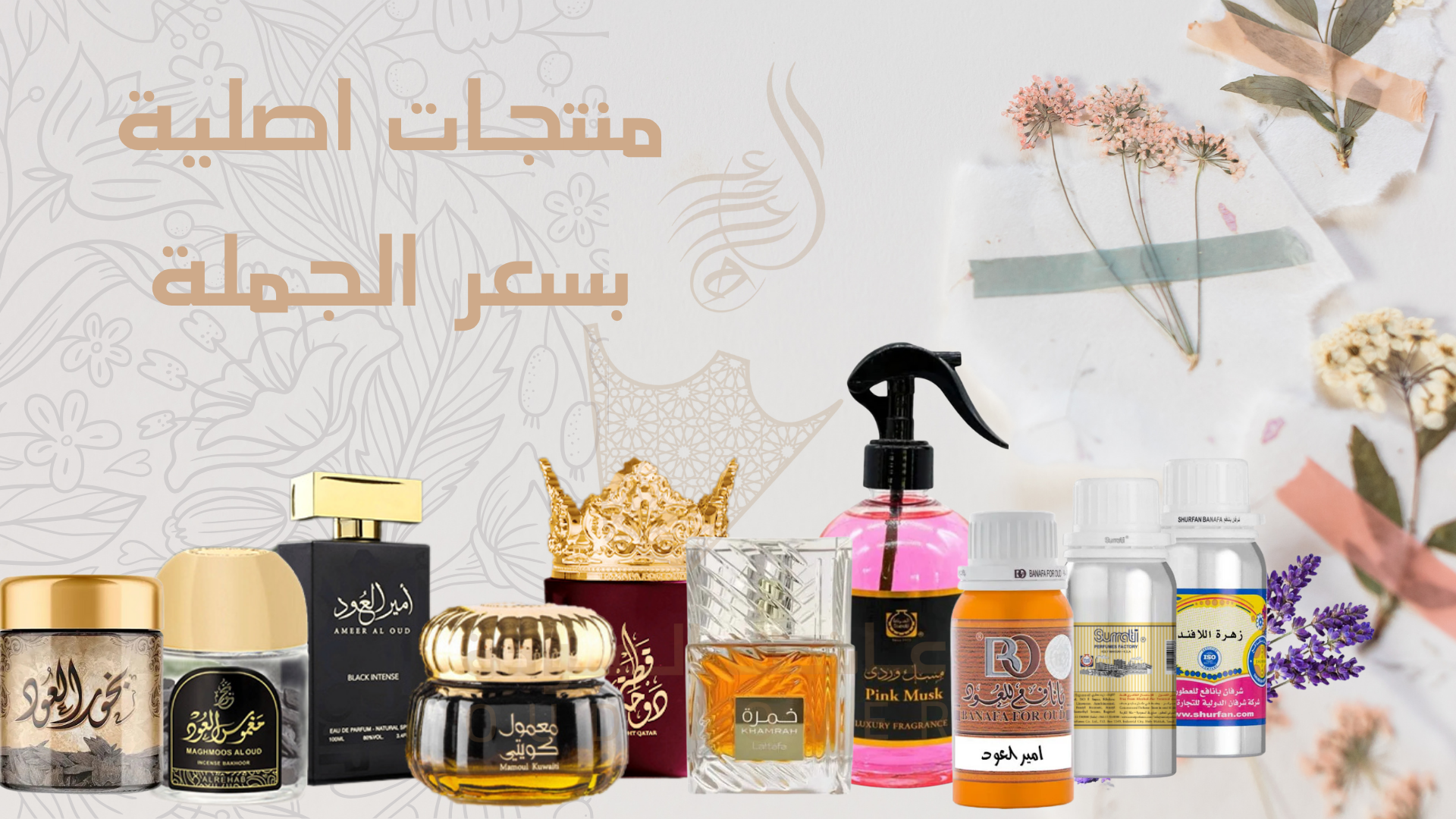 عاشق العودة