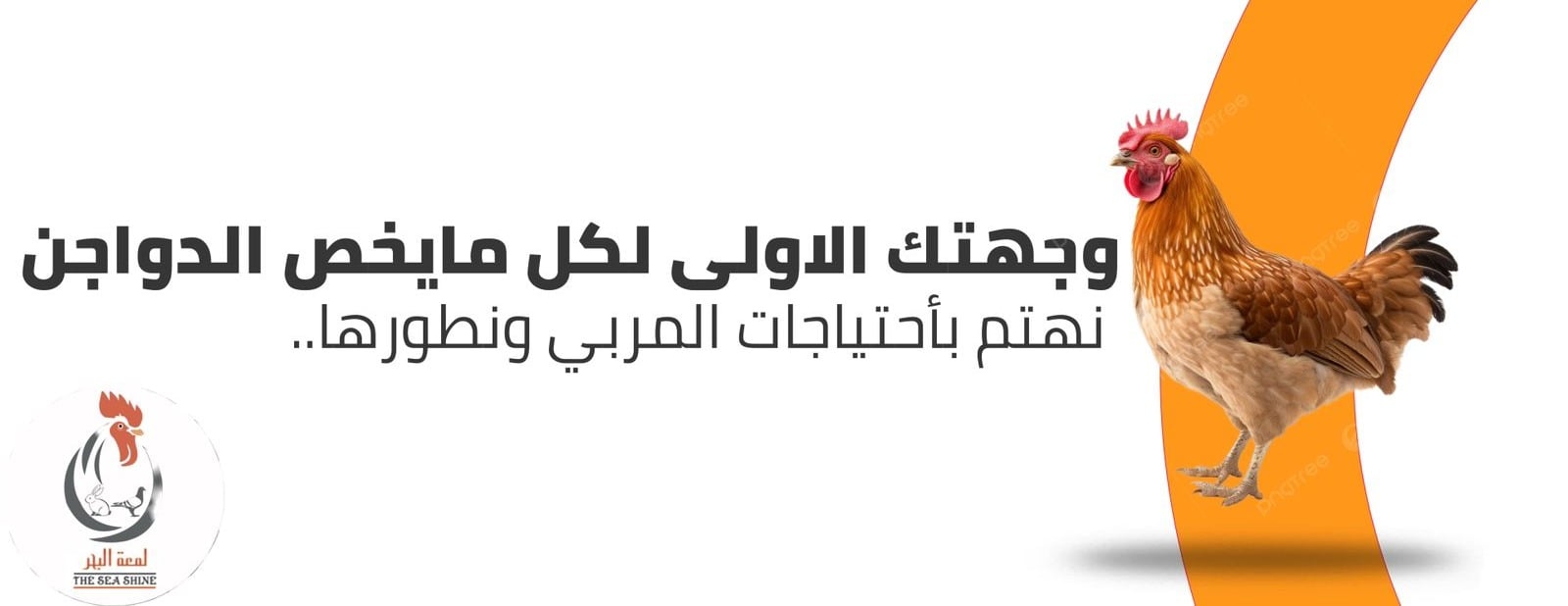 شركة لمعة البحر للتجاره image-slider-0