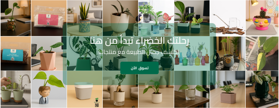 Green It image-slider-0