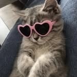 نورة القحطاني