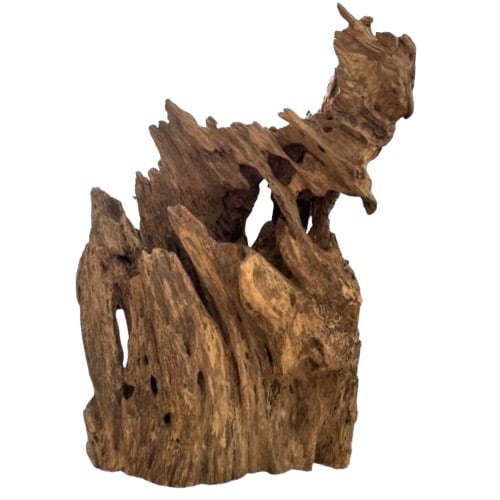 https://cdn.salla.sa/form-builder/skoSGcvE5HlVWG5lgw6PXxPxWt0Bmed7NU2psm3U.jpg