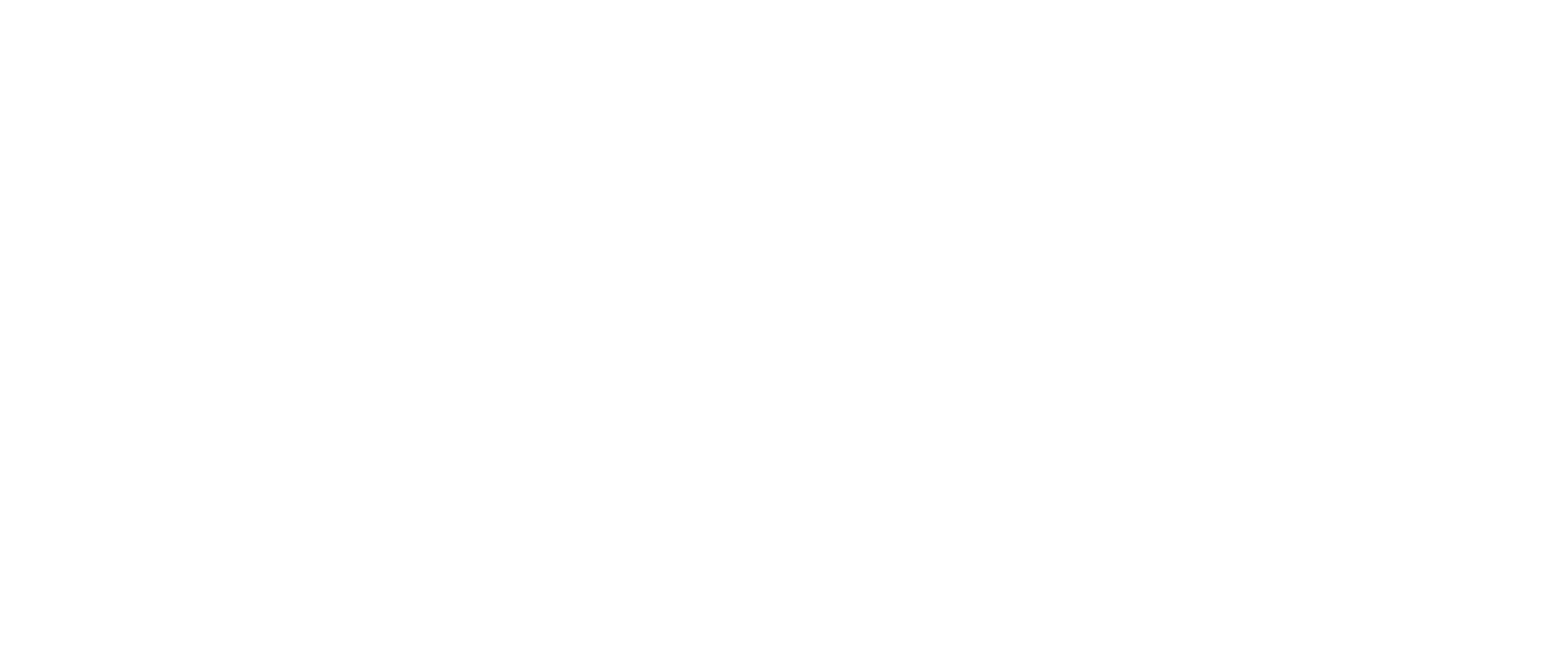 ريكسون بلس | Rexon Plus