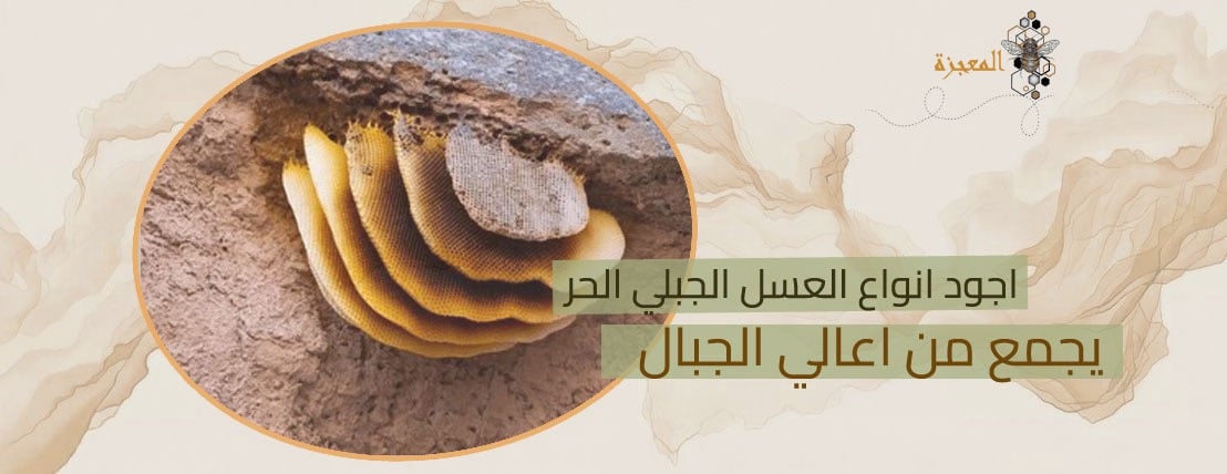 the miracle honey image-slider-3