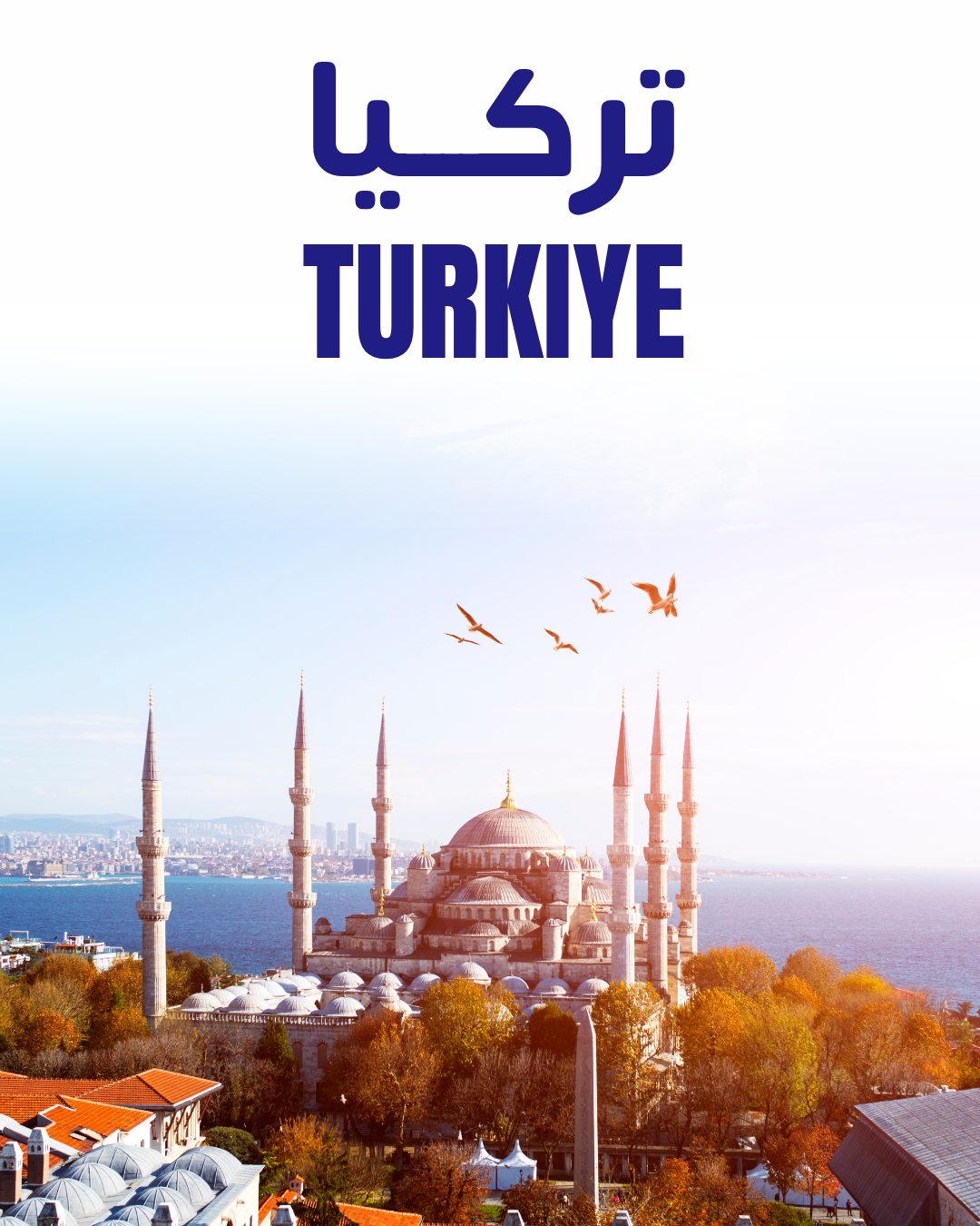 تركيا