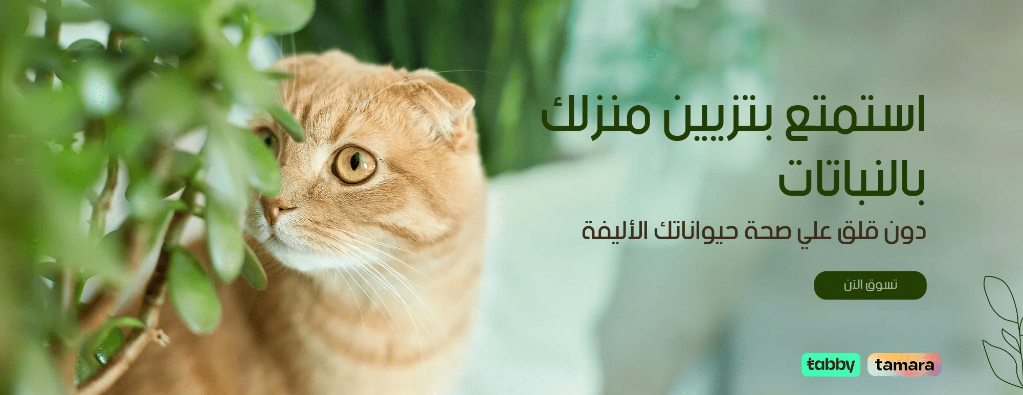 fixed banner