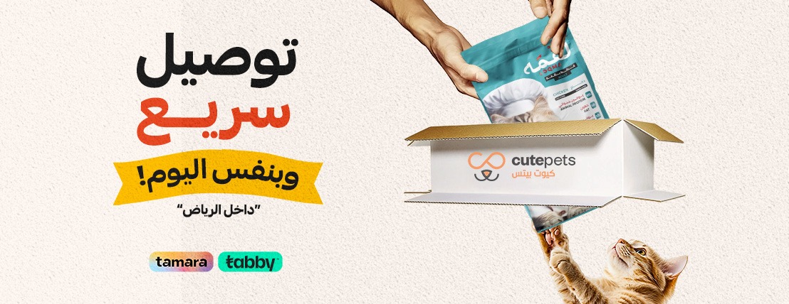 طعام جاف للقطط