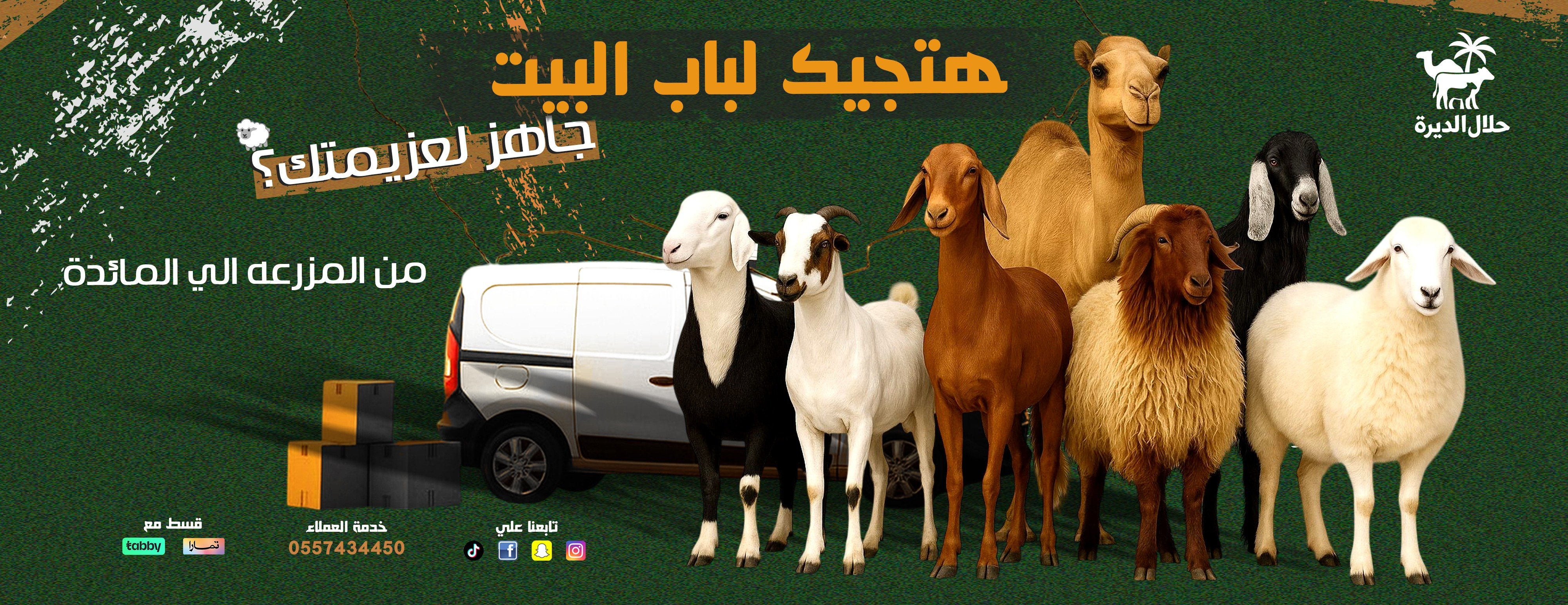 متجر حلال الديرة image-slider-2