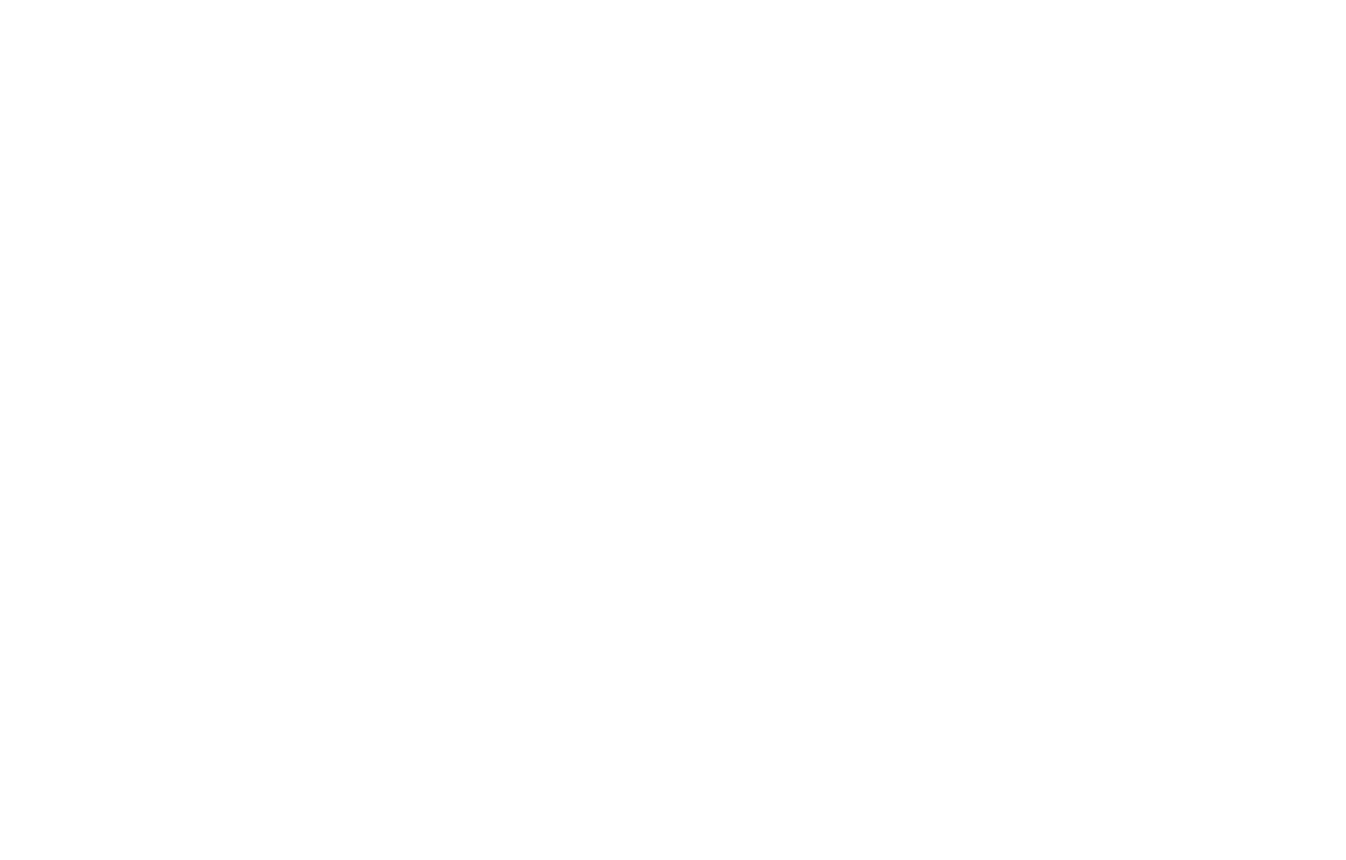 سمارت سفير