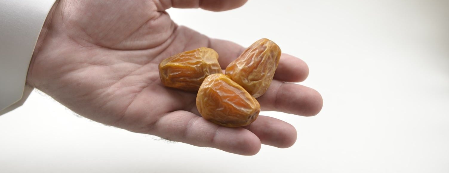 Nora Dates image-slider-3