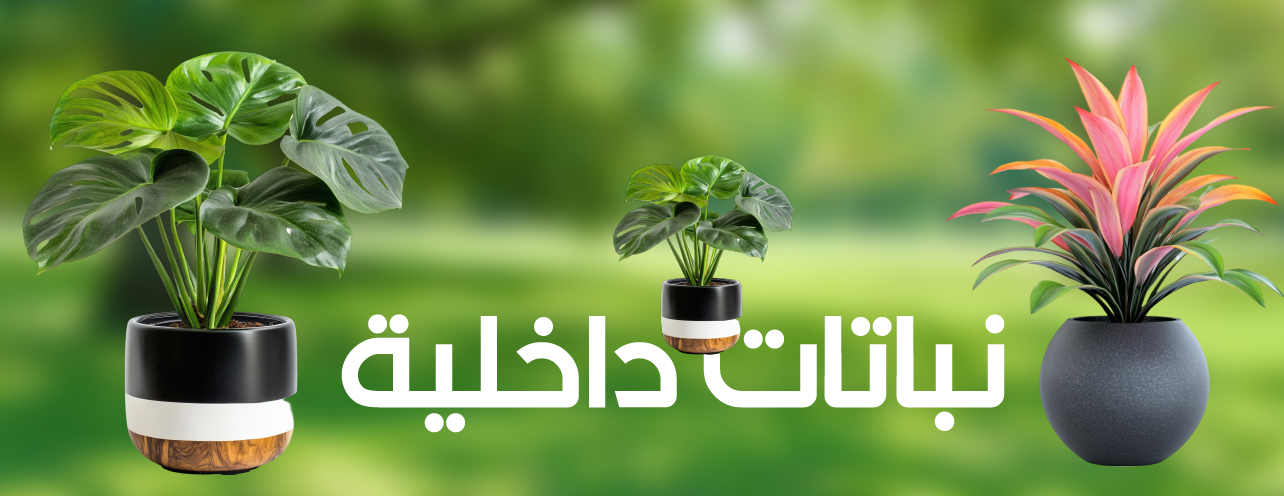 متجر حديقة نهى | Noha Garden Store image-slider-0