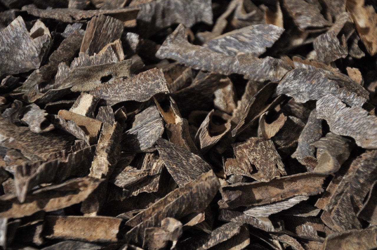 نص كيلو | Half kilo