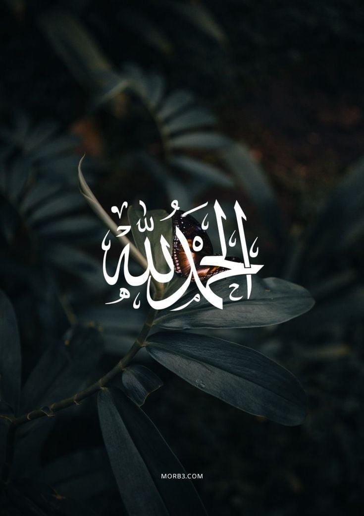 ‏Saleha AlRuwaili