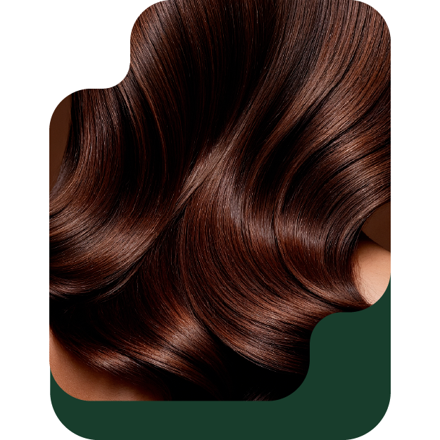 خدمات الشعر