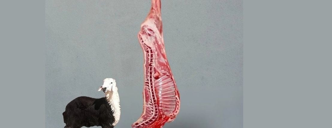 فن أرز الغربية image-slider-3