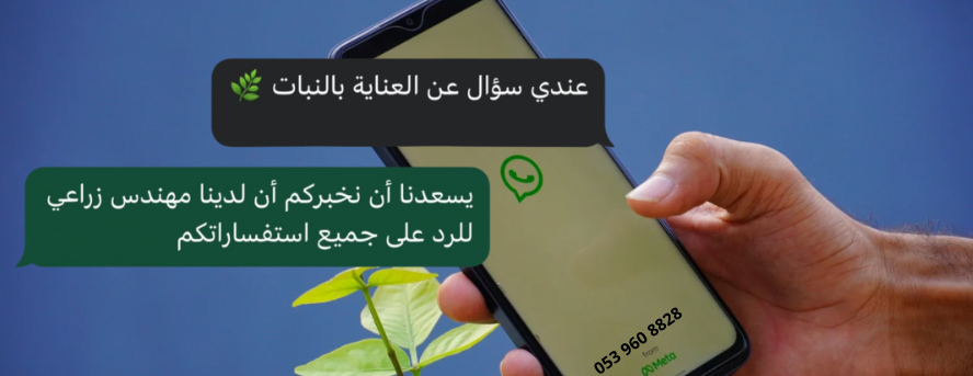 ڤيتاليا | vitalia image-slider-0