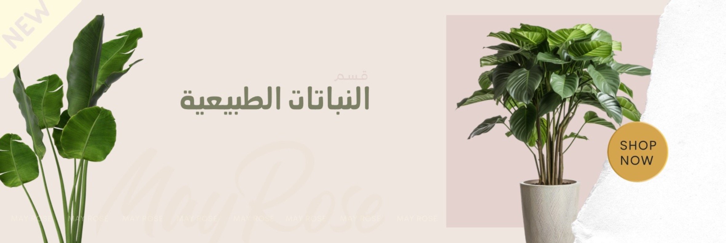 fixed banner