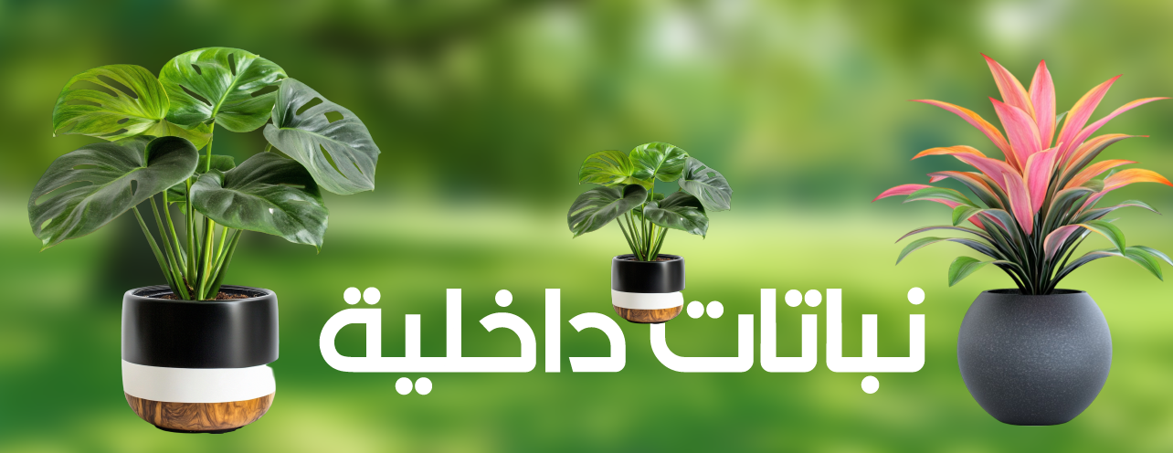 متجر حديقة نهى | Noha Garden Store image-slider-4