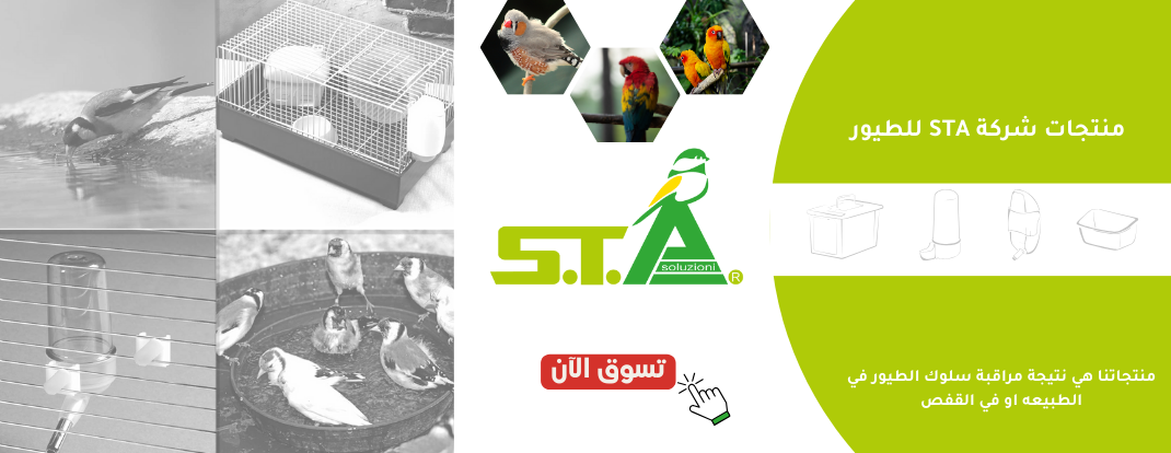 متجر عالم الطيور image-slider-1