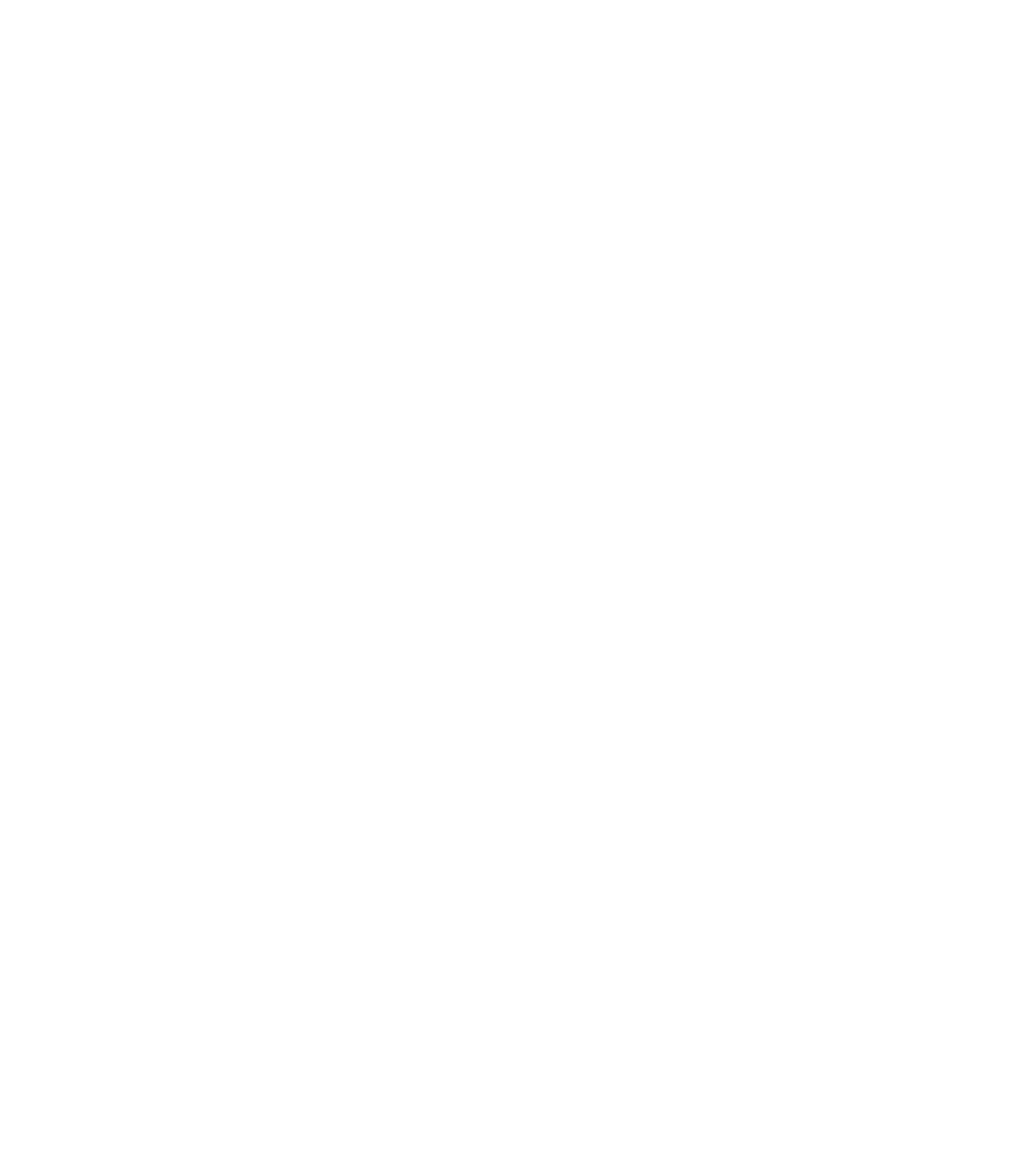 ليدرز logo