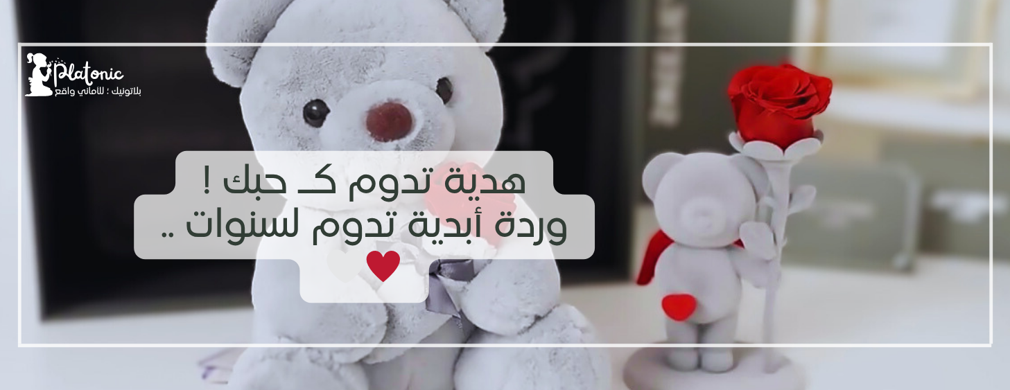 PLATONIC image-slider-0