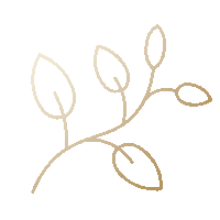 زيت بكر ممتاز